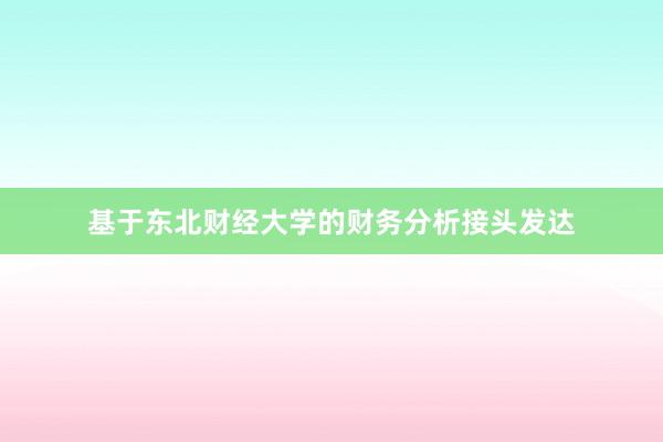 基于东北财经大学的财务分析接头发达