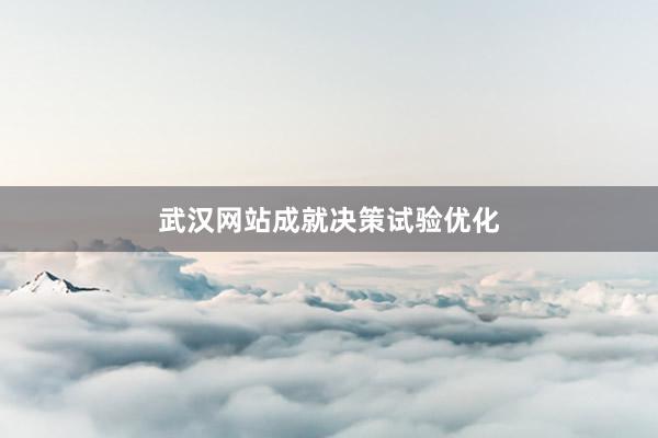 武汉网站成就决策试验优化